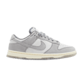 Nike Dunk Low Cool Grey Football Grey (Women's)