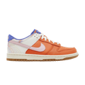 Nike Dunk Low SE Everything You Need (GS)