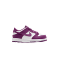 Nike Dunk Low Viotech (TD)