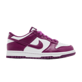 Nike Dunk Low Viotech (GS)