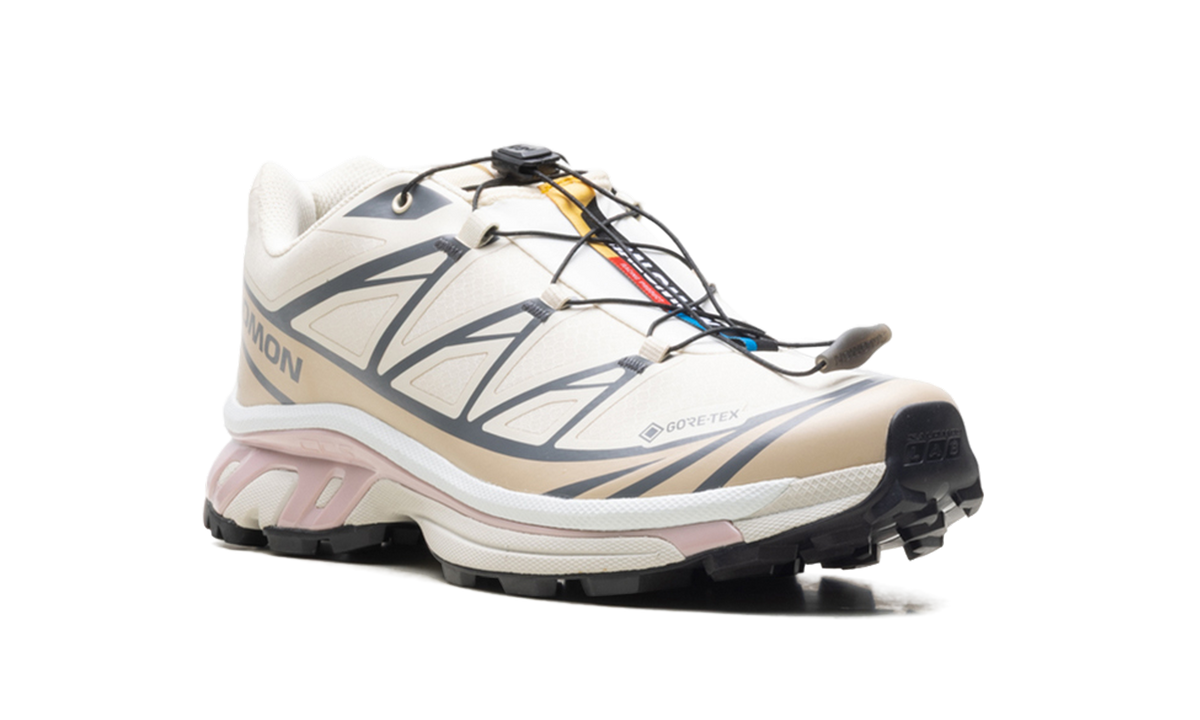 XT-6 GTX "Almond Milk Mauve" L47581200