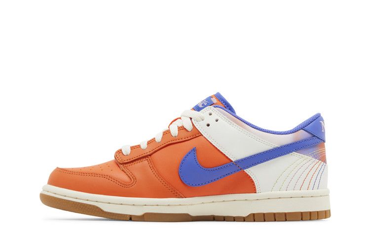 Nike Dunk Low SE Everything You Need (GS)