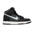 Nike Dunk High Light Graphite Cloud
