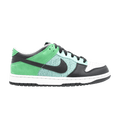 Nike Dunk Low 6.0 Mint/Black-Hyper Verde-Jetstream