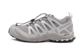 XA Pro 3D "Alloy Silver" L41617500