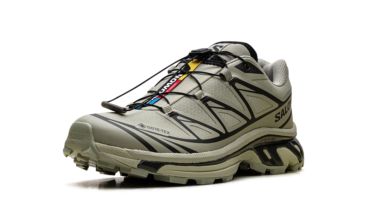 XT-6 Gore-Tex "Tea Peat" L47863800