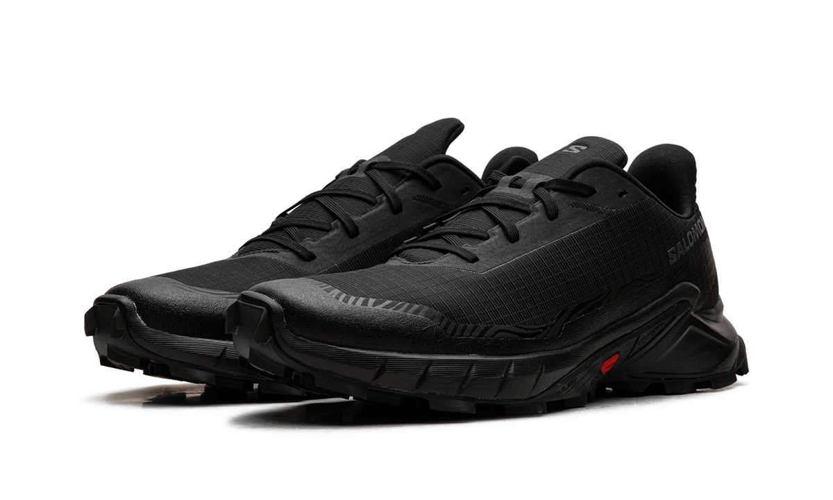 Alphacross 5 GORE-TEX "Black Ebony" L47307500