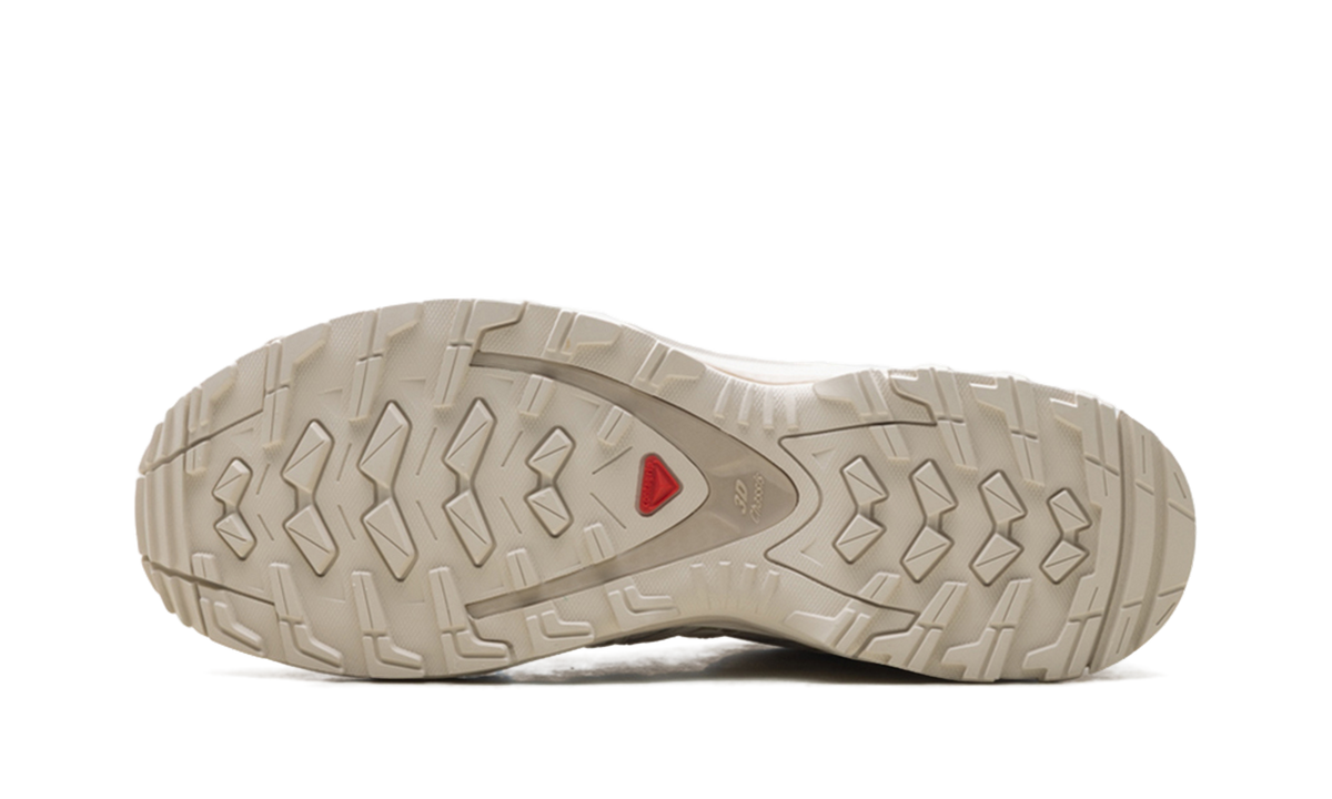XA Pro 3D "Rainy Day / Oxford Tan" L47739600