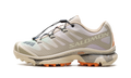 XT-4 OG "Aurora Borealis Shortbread" L47442400