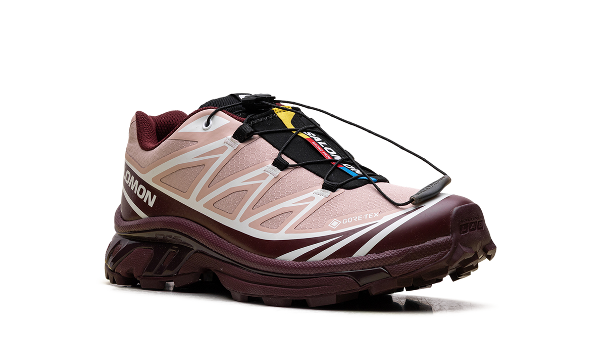 XT-6 GTX "Mahogany Rose Tawny Port" L47863700