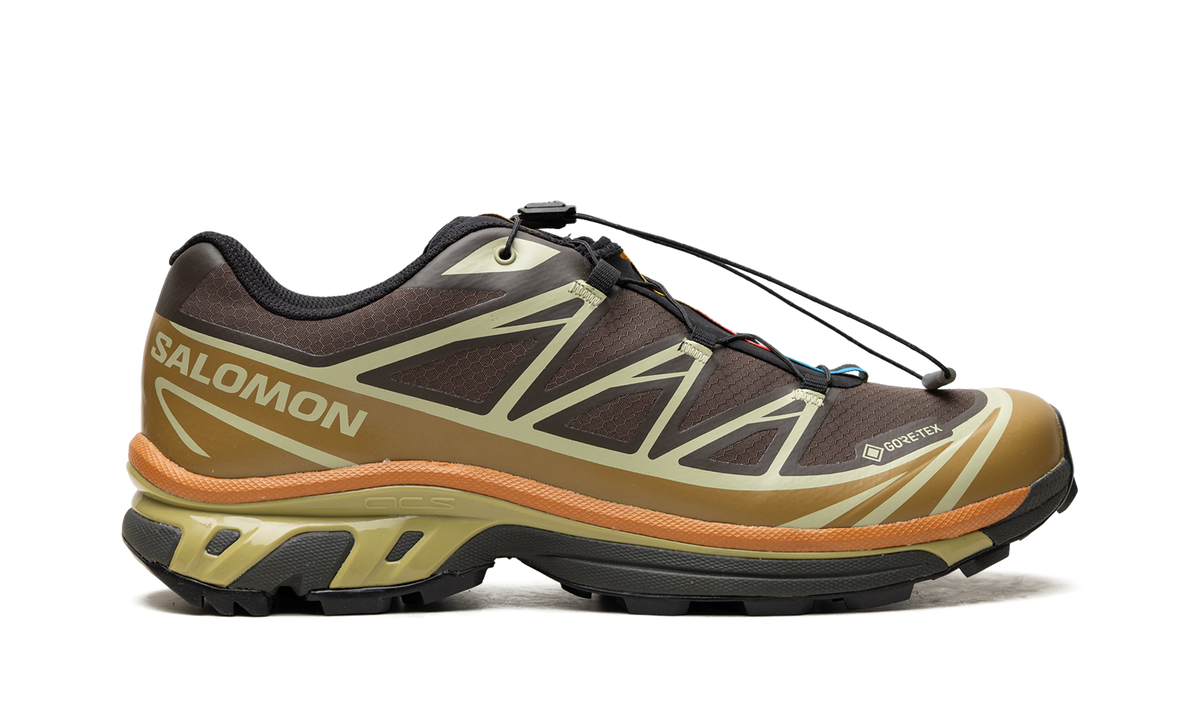 XT-6 Gore-Tex "Delicioso Tea" L49202100