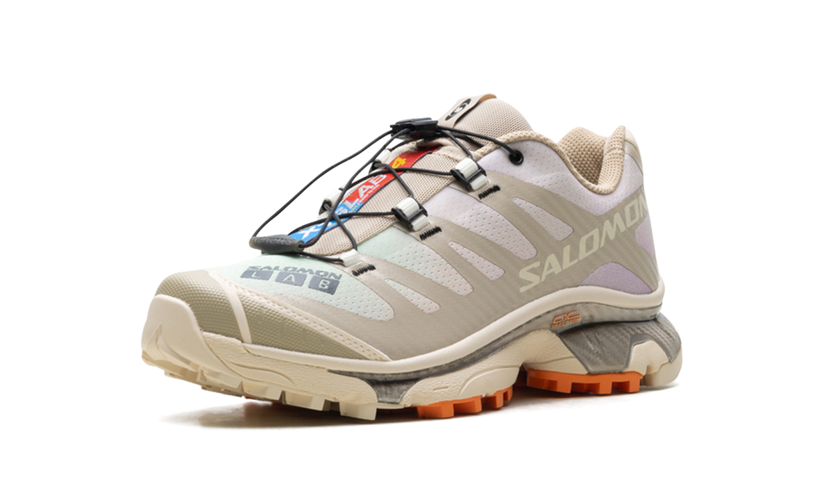 XT-4 OG "Aurora Borealis Shortbread" L47442400