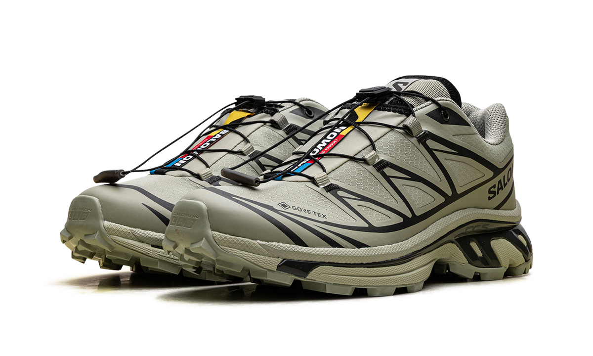 XT-6 Gore-Tex "Tea Peat" L47863800