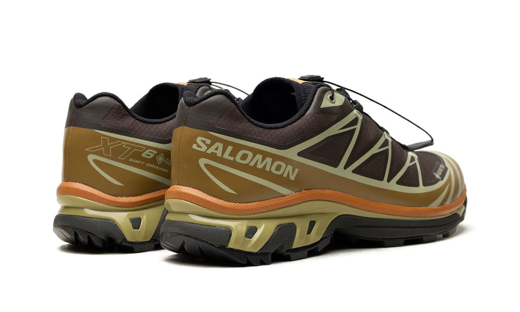 XT-6 Gore-Tex "Delicioso Tea" L49202100