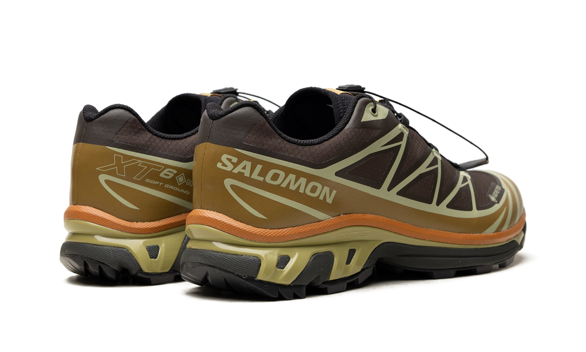 XT-6 Gore-Tex "Delicioso Tea" L49202100
