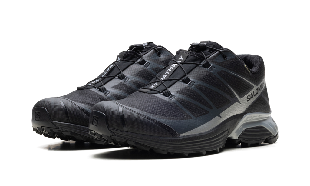 XT-Pathway GTX "Black Silver" L47577500