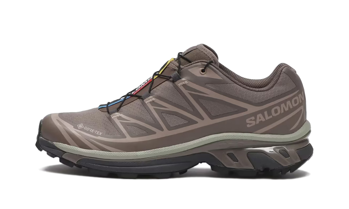XT-6 GORE-TEX "Iron Etherea" L47732600