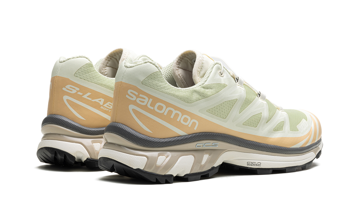 XT-6 "Aloe Wash" L47293700