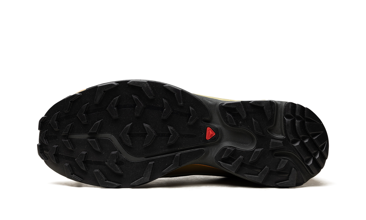 XT-6 Gore-Tex "Delicioso Tea" L49202100