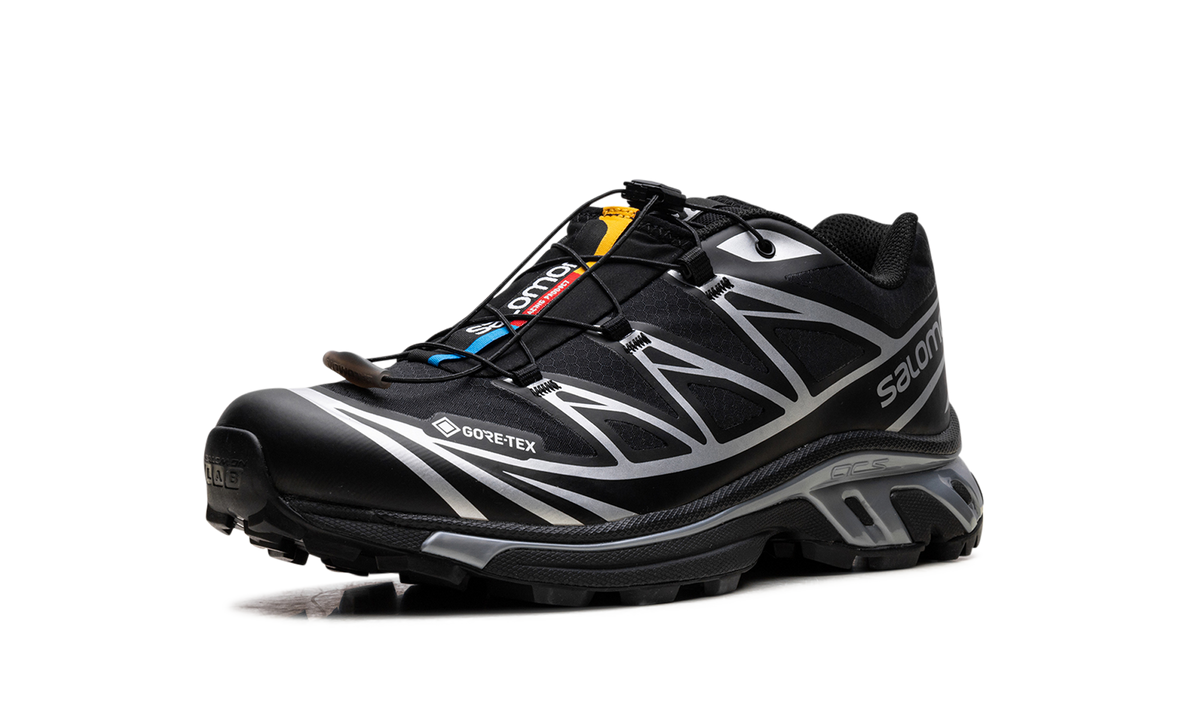 XT-6 Gore-Tex "Black Silver" L47450600
