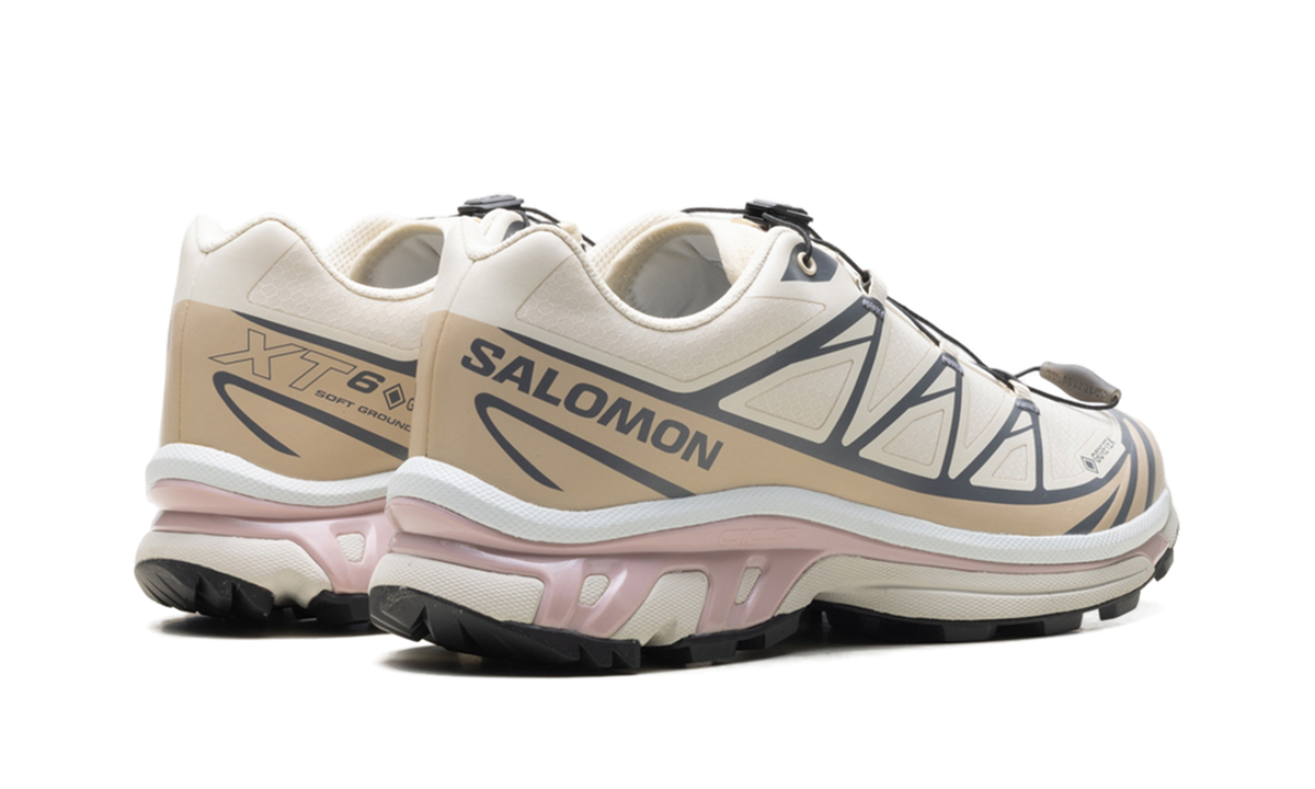 XT-6 GTX "Almond Milk Mauve" L47581200