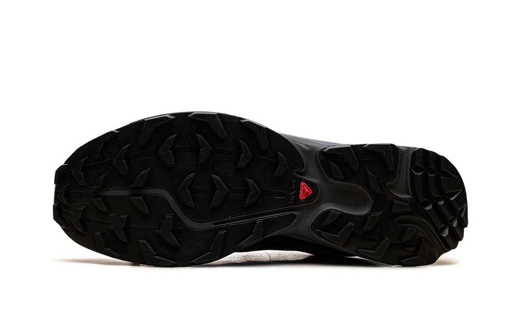 XT-6 Gore-Tex "Wrought Iron Urban Chic" L47991700