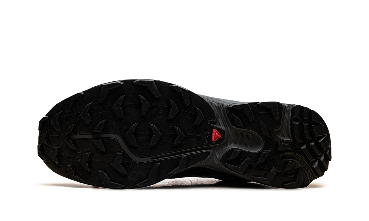 XT-6 Gore-Tex "Wrought Iron Urban Chic" L47991700