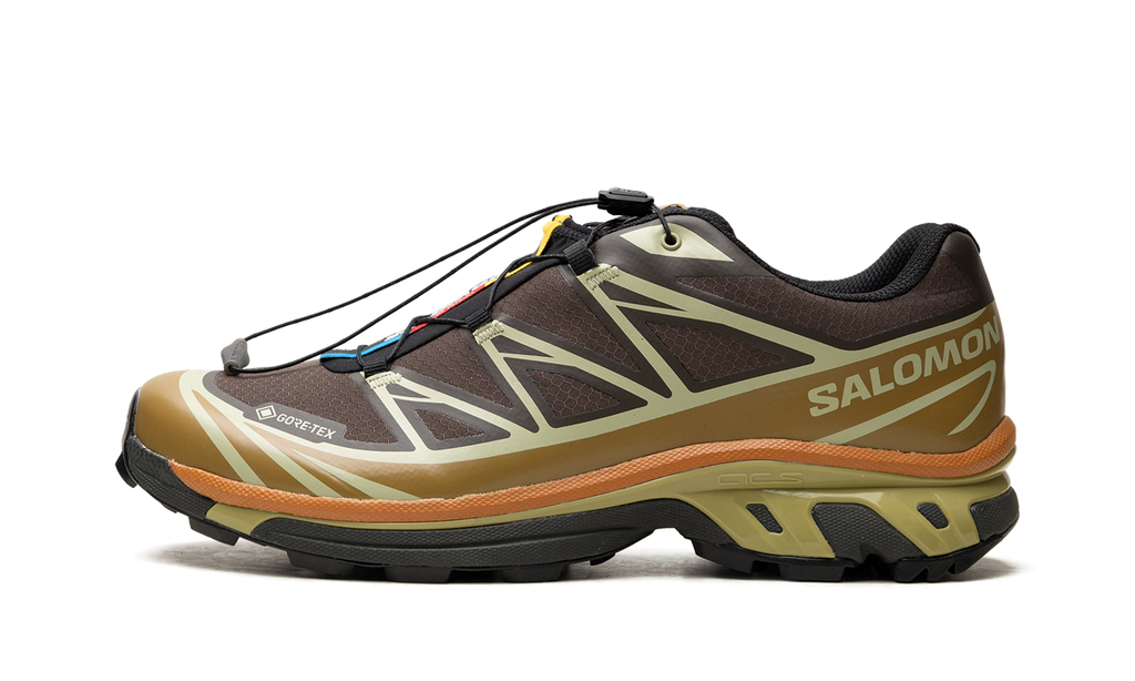 XT-6 Gore-Tex "Delicioso Tea" L49202100