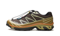 XT-6 Gore-Tex "Delicioso Tea" L49202100
