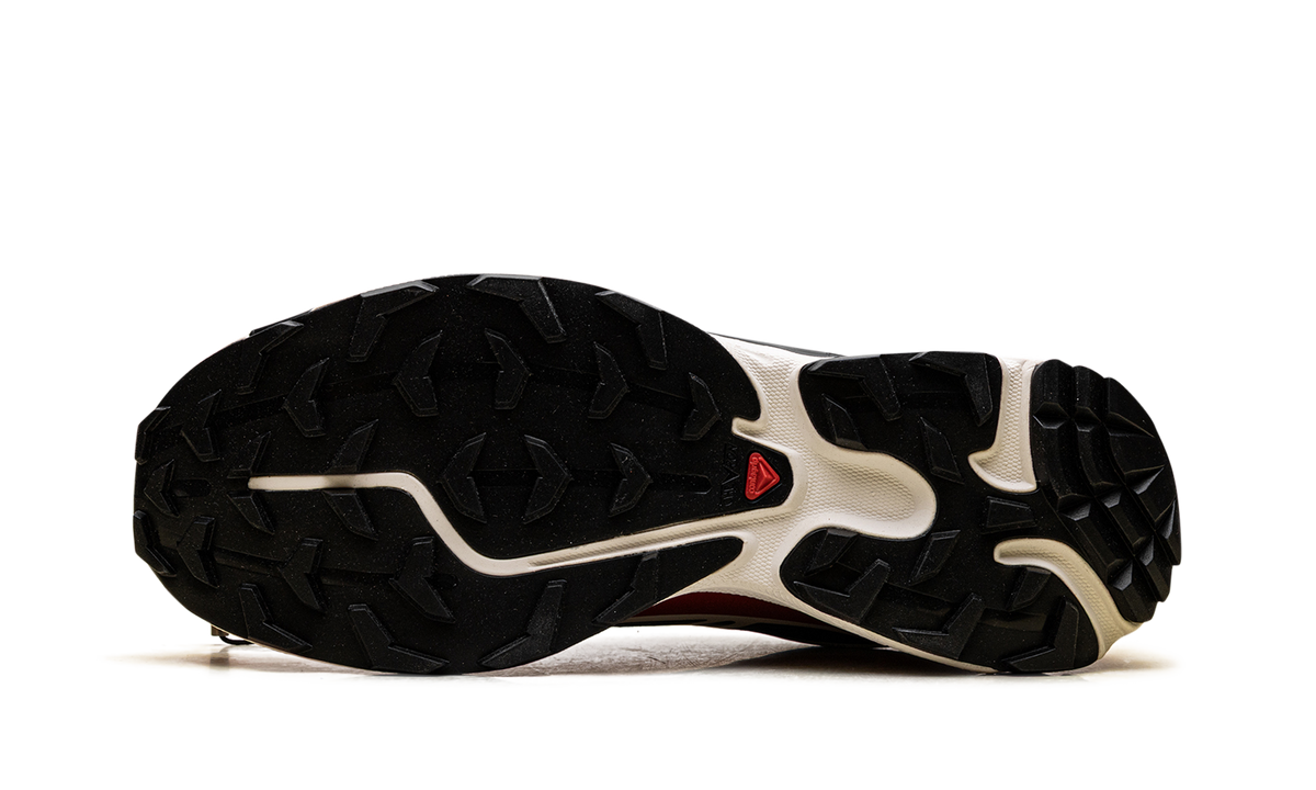 XT-6 Gore-Tex "Black Flame Scarlet Vanilla Ice" L47974900