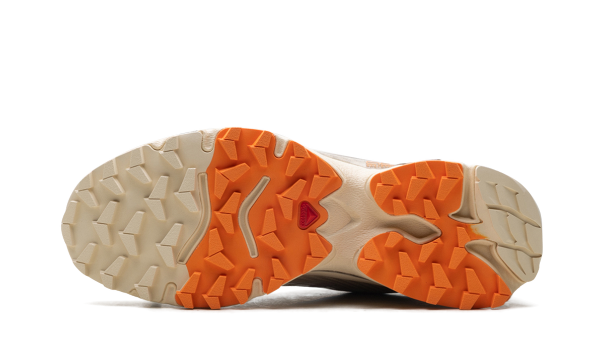 XT-4 OG "Aurora Borealis Shortbread" L47442400