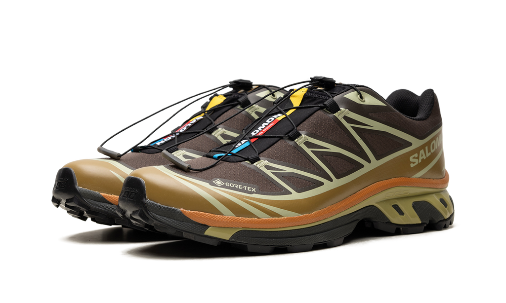 XT-6 Gore-Tex "Delicioso Tea" L49202100