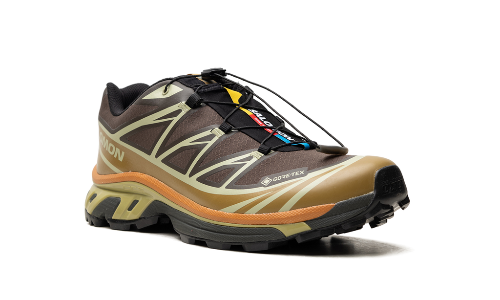 XT-6 Gore-Tex "Delicioso Tea" L49202100