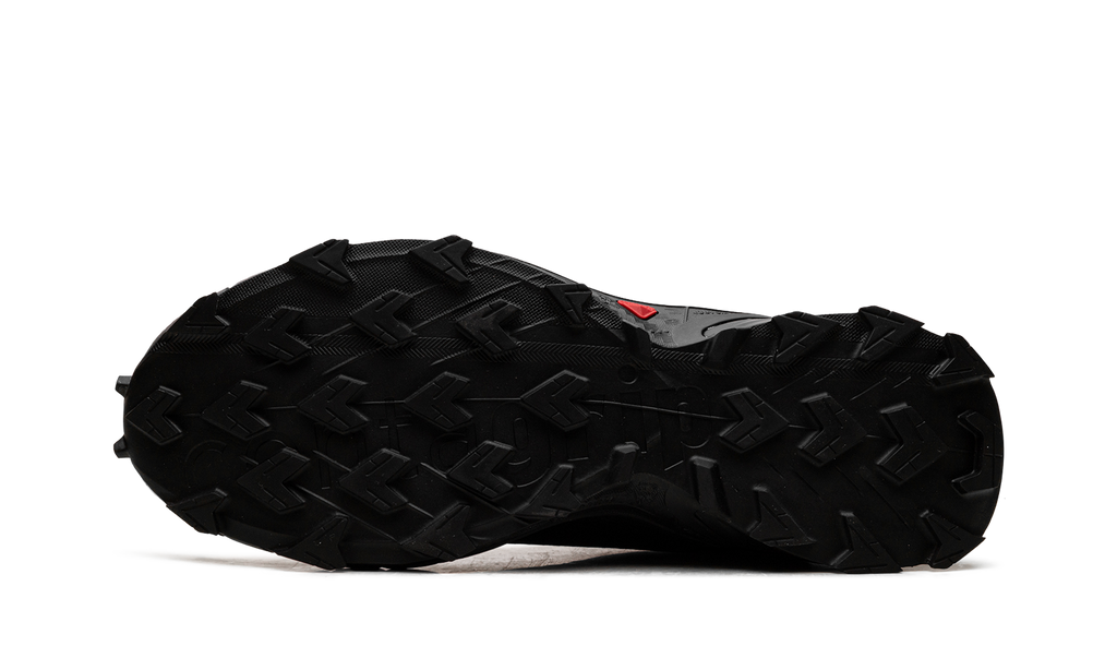 Alphacross 5 GORE-TEX "Black Ebony" L47307500