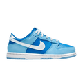 Nike Dunk Low Argon (2022) (PS)