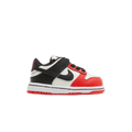 Nike Dunk Low EMB NBA 75th Anniversary Chicago (TD)