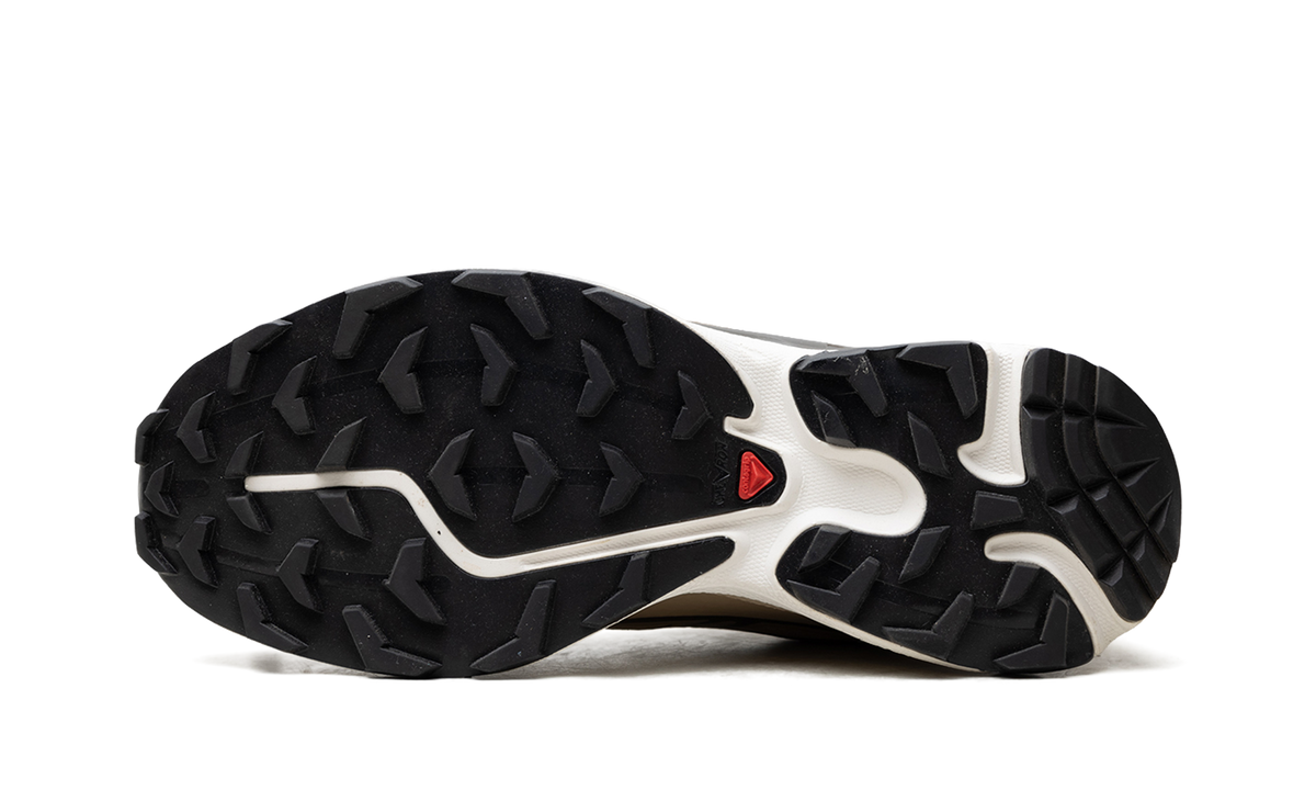 XT-6 GTX "Kelp Wren Safari" L47975000