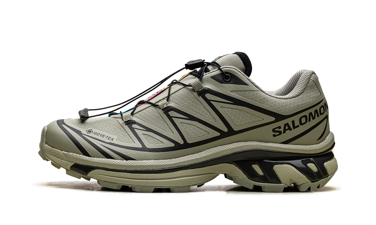 XT-6 Gore-Tex "Tea Peat" L47863800