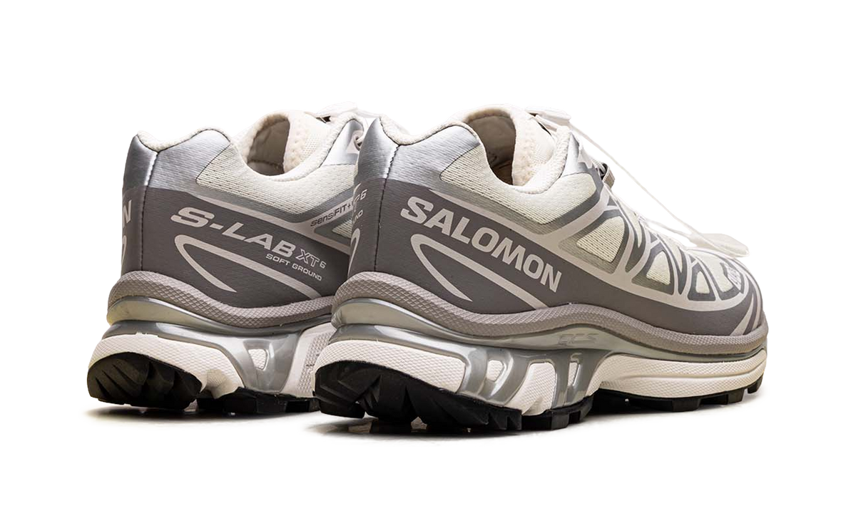XT-6 "Vanilla Ice Silver Lilac Ash" L45472200