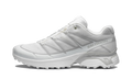 XT-Pathway 2 "White Metal" L47690900