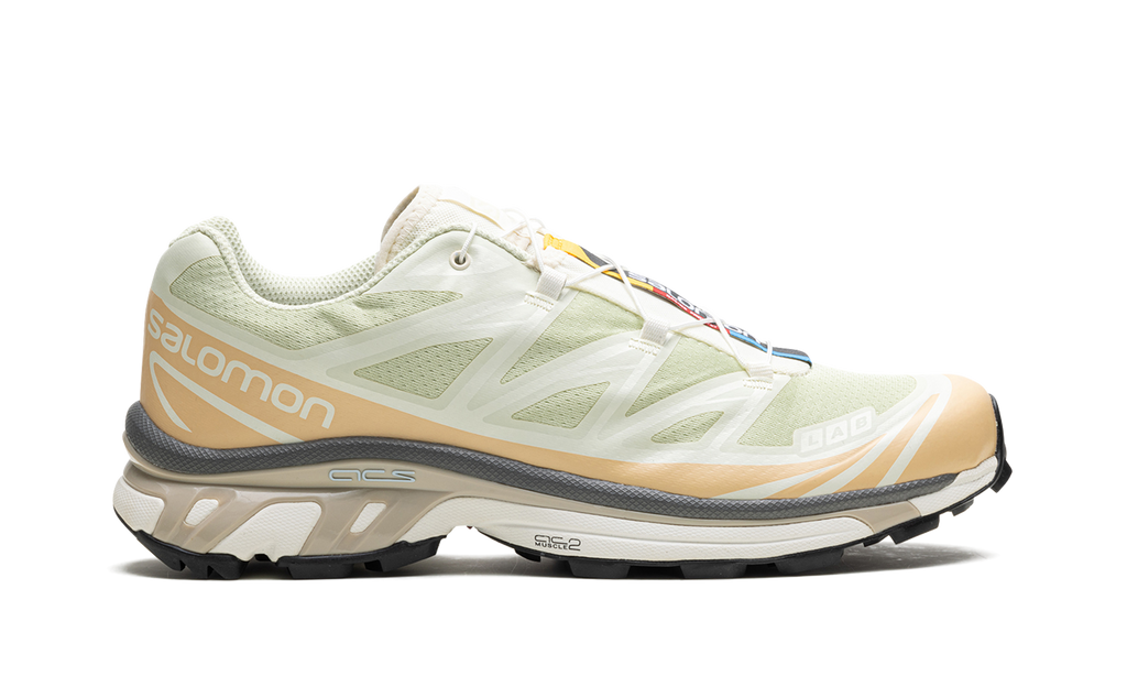 XT-6 "Aloe Wash" L47293700