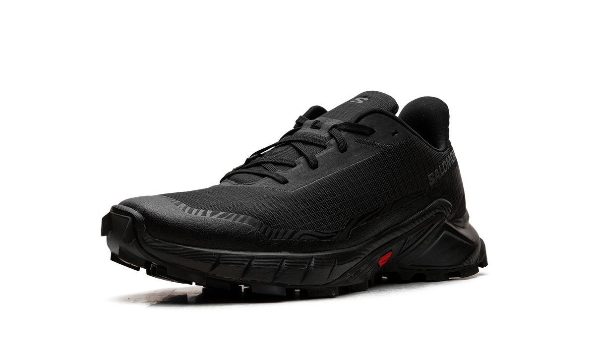 Alphacross 5 GORE-TEX "Black Ebony" L47307500