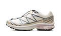 XT-6 GTX "Almond Milk Mauve" L47581200