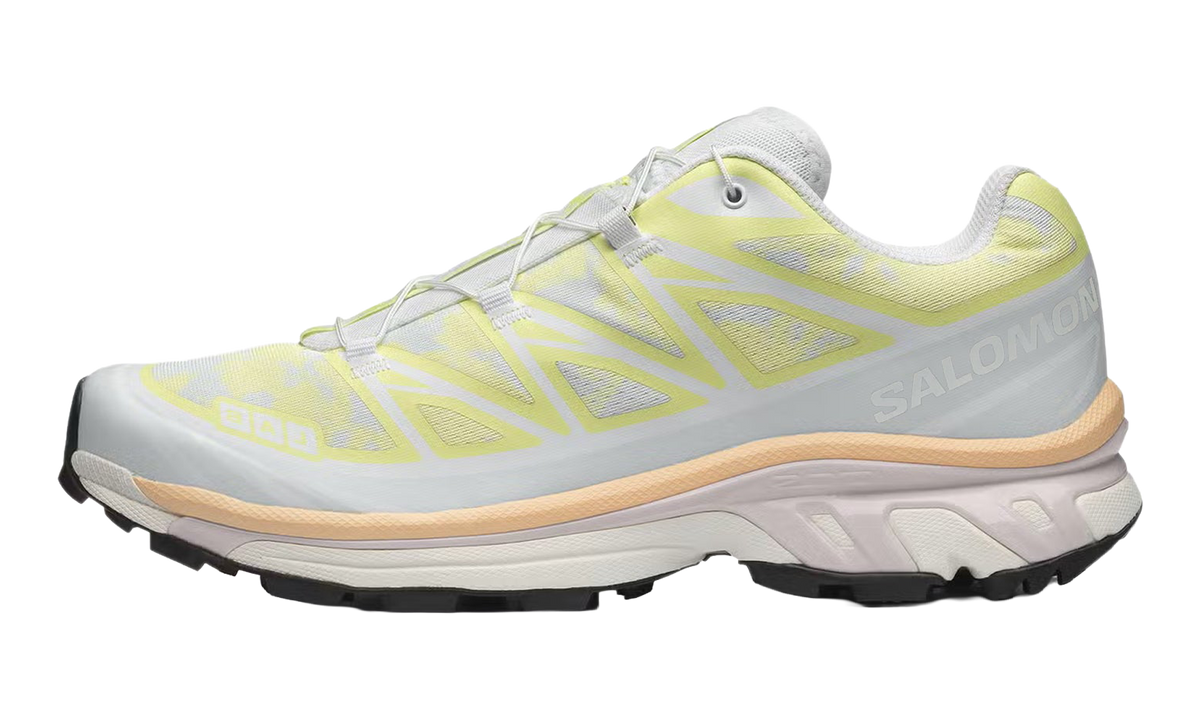 XT-6 "Alpen Blossom Ice Flow" L47971300