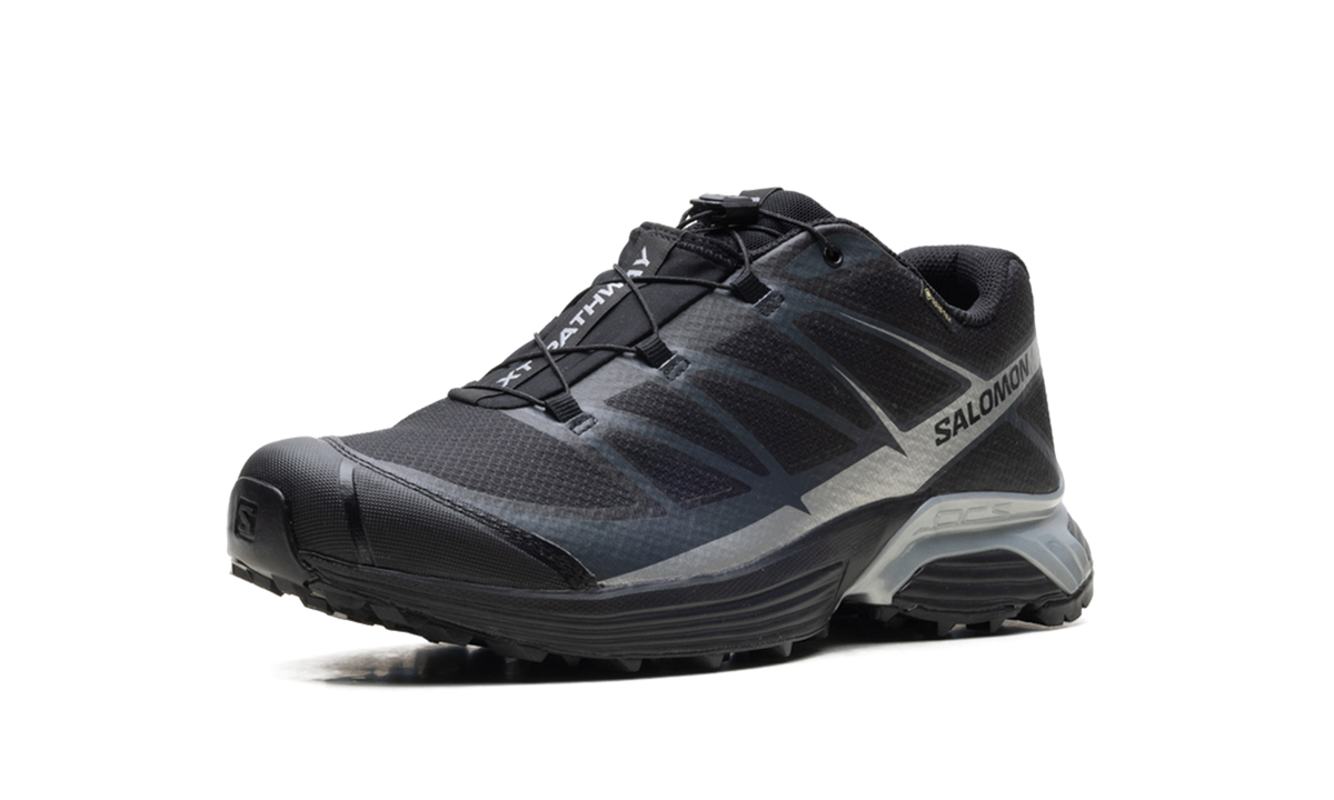 XT-Pathway GTX "Black Silver" L47577500