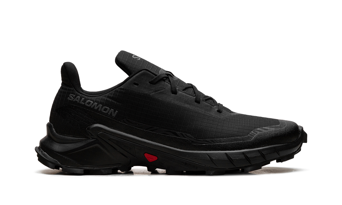 Alphacross 5 GORE-TEX "Black Ebony" L47307500