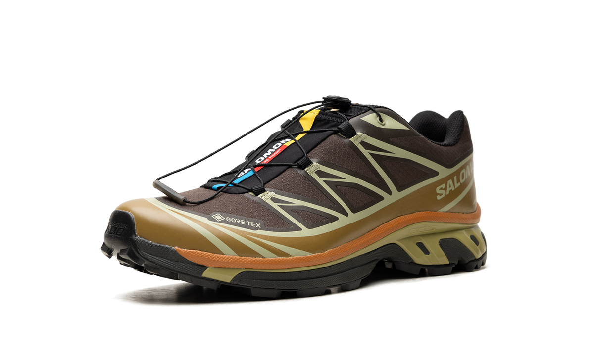 XT-6 Gore-Tex "Delicioso Tea" L49202100