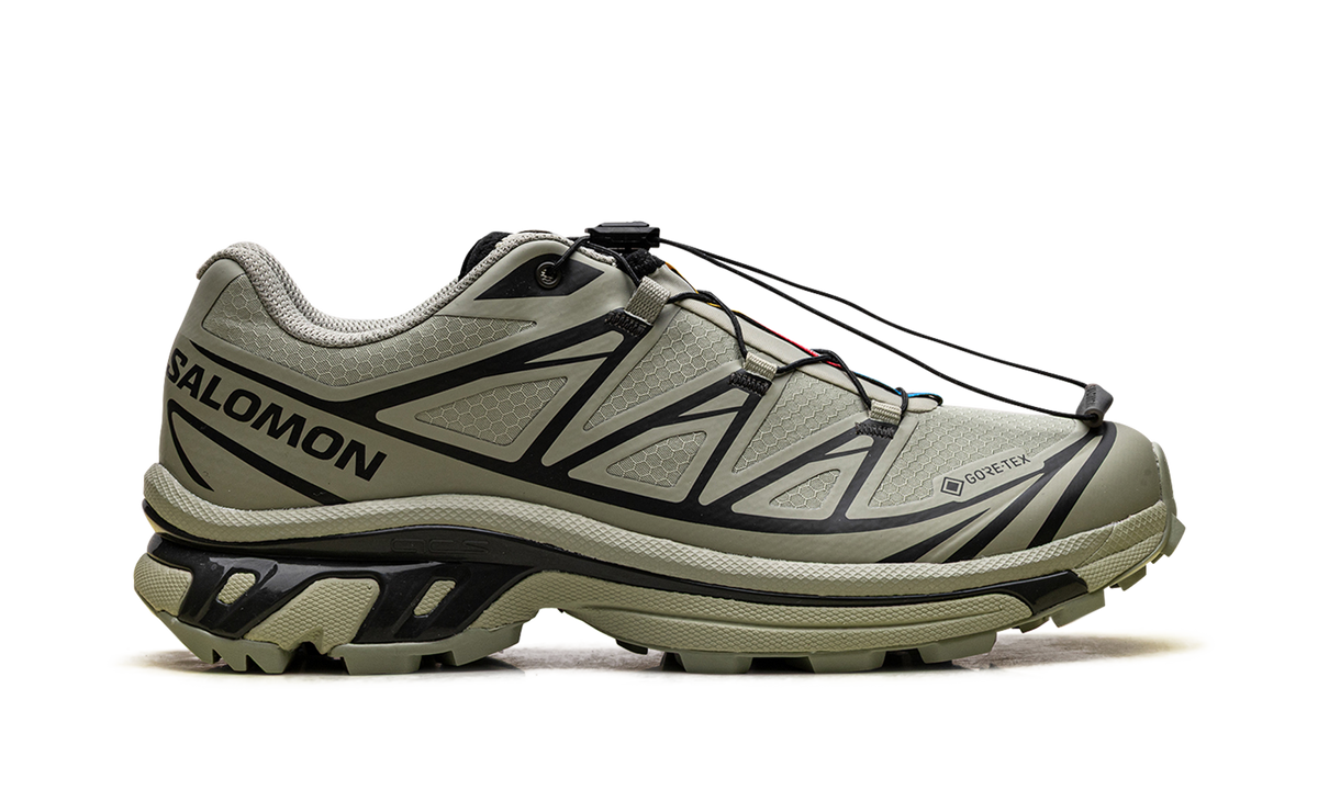 XT-6 Gore-Tex "Tea Peat" L47863800
